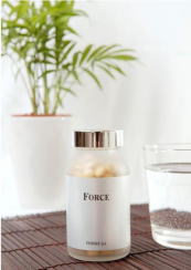 ���̓T�v��FORCE